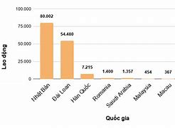 Các Thị Trường Xuất Khẩu Lao Động Của Việt Nam