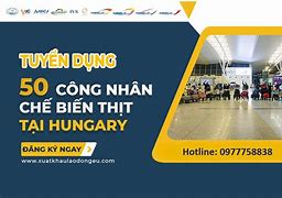 Cty Xkld Vov Tuyển Dụng 2023 Online Login Password Reset