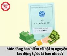 Đóng Bảo Hiểm Xã Hội Tự Nguyện 1 Tháng Bao Nhiêu Tiền Lãi