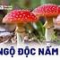 Gây Mê Hồi Sức Như Thế Nào Là Đúng