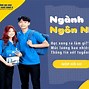 Ngành Ngôn Ngữ Trung Có Cần Học Tiếng Anh Không